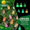 50 Pcs Luminous Glass Bottle Charms Glow in the Dark Wishing Bottle Charms